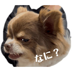 Kac Design Office_20260405164302