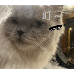 不知道要叫什麼⋯