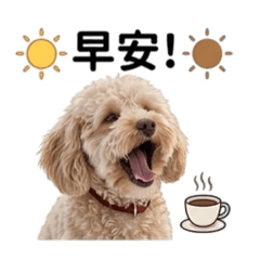 乖乖幸運萌圖（一）