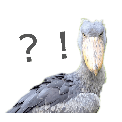 NakamuraAyame_20260405171053