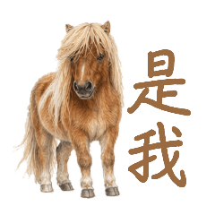馬馬很迷你