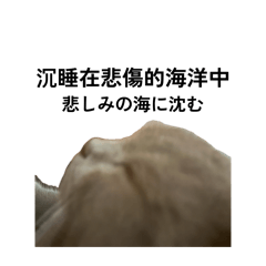 島輝一如既往的輸出顏藝