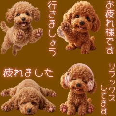 Mocha the playful and adorable toypoodle