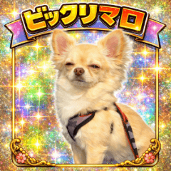 Maro Stickers 2