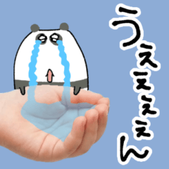 Tiny Panda Panchorun Stickers