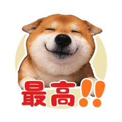 memegu_20260405061551