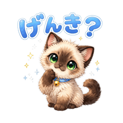 Cute kitty useful Japanese words