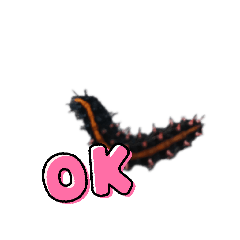 NakamuraAyame_20260405142116