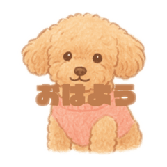 shibata_20260405145454