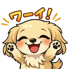 An expressive little dachshund