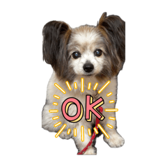 taruto_20260405153346