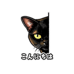 Lucky Black Cat: The Curious Peeker