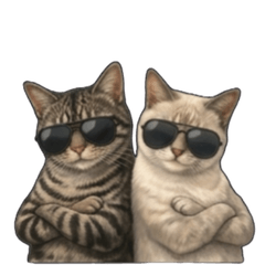 Silent Pressure Cats