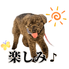 ココア大好き❤