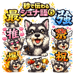 Schnau Talk in a Second Vol.6