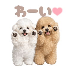 DOG STAMP ORDER_20260405180338