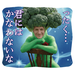 ダンディ・ブロッコリー【実写】