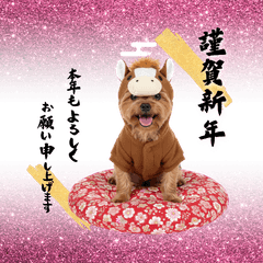 DOG  GOOD  Sticker215