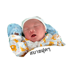 Gus_20260403224815