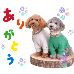 hiyori_20260405123914