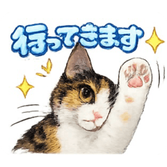 SenchoRe_20260405123725