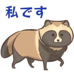Police gliders with Tanuki