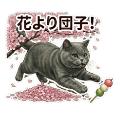 Kansai Cat Stickers for Spring Daily Use