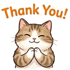 A Cat's Daily Life (English Version)