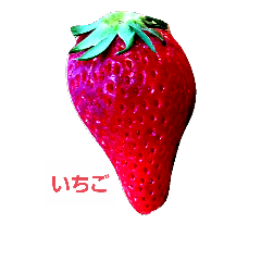 vegetable&fruit?