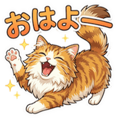 The round-eyed cat, Chachamaru