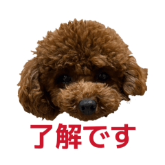 hisasuke_20260405183854