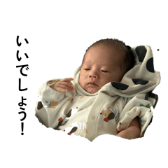 shinya_20260405184527