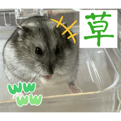 mememe_20260405185236