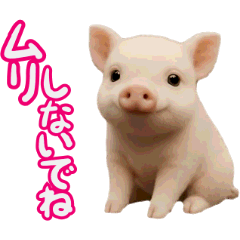 The AI moving Cute piglet Sticker Simple