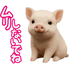 The AI moving Cute piglet Sticker Simple