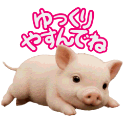 AI moving Cute piglet Sticker Simple 2