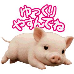 AI moving Cute piglet Sticker Simple 2