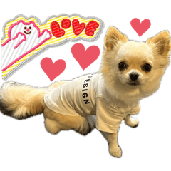 boss7110_20260406064707