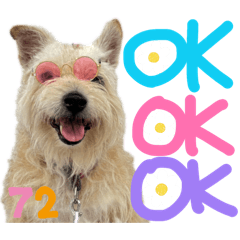 runco_20260405132218