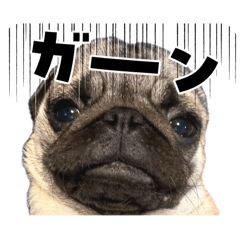 hanabi_20260405132402