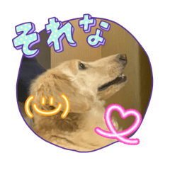 yoshiyuking_20260405132902