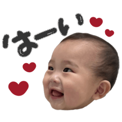 toh569_20260405133237