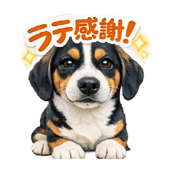 latte0701_20260405131810