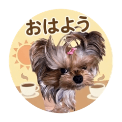 sakura_20260405133543