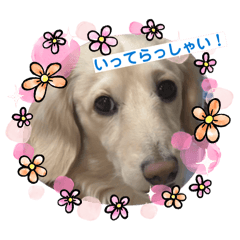 nonayu_20260405132635