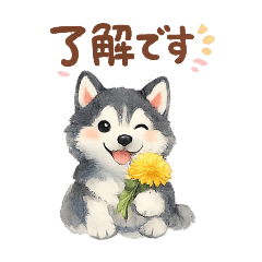 husky dog_the_20260405142203