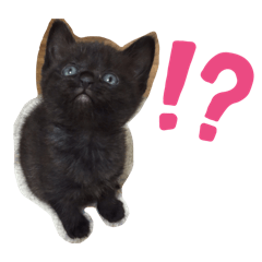 Morishita_20260405193231