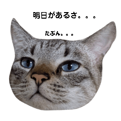 JILLNINA_20260405165624