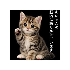 oirann_20260405184825