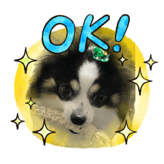 Ryutaro_20260405193506